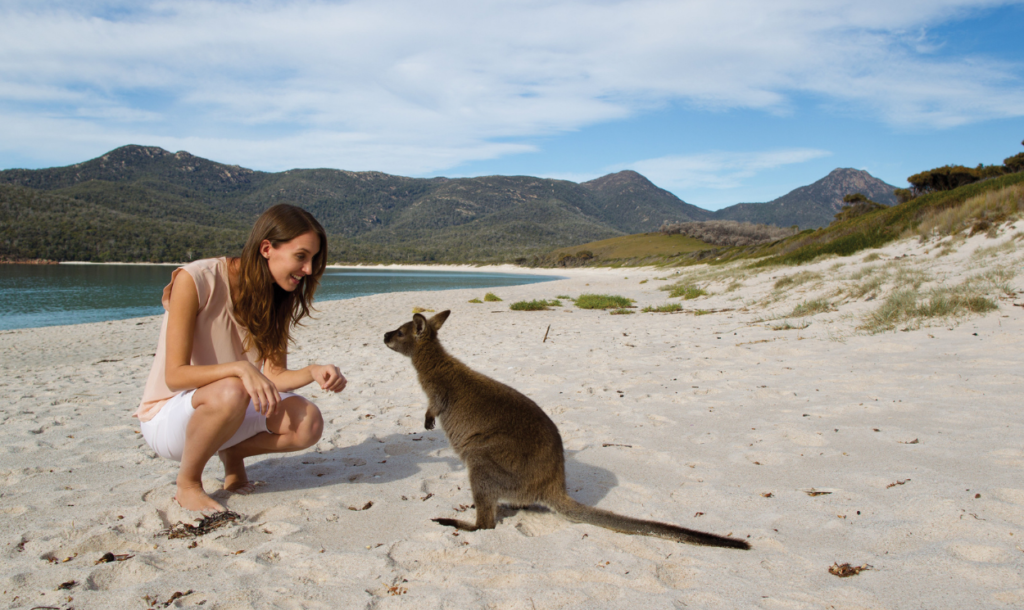 1250x745_Tasmania_Australia_beach_kangaroo