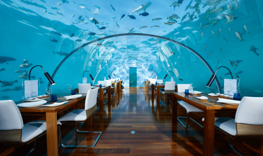 1250x745_Conrad Maldives_Underwater Dining