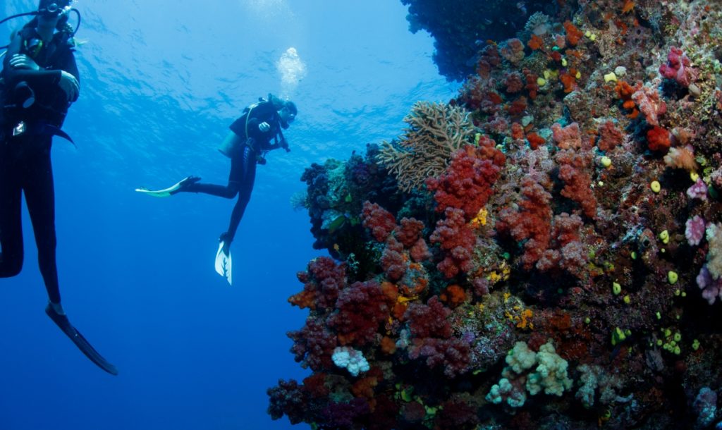Jean Michel Cousteau Diving